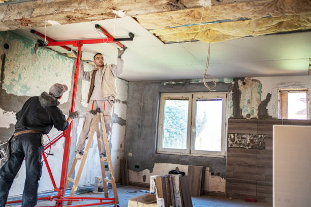 Best Best Insulation Companies  in Pearson, GA