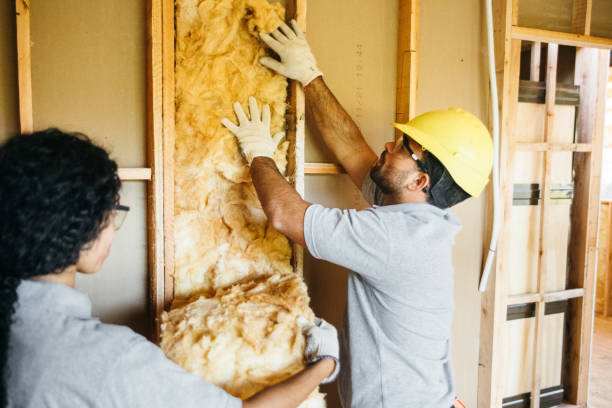 Garage Insulation Installation in Pearson, GA