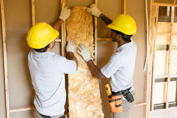 Best Residential Insulation Services  in Pearson, GA