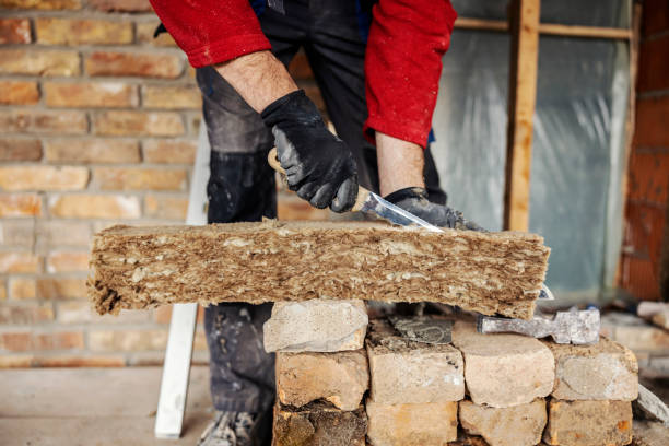 Best Cellulose Insulation  in Pearson, GA